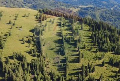 Teren de 47732 mp, în Panaci - 2