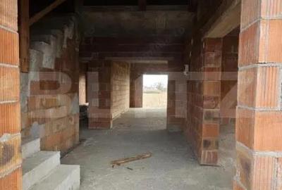 Casă cu Teren 2703 Mp în Halmeu - 8