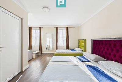 Business complet funcțional, zona Aradul Nou - 46