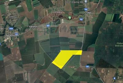 Teren 25.26ha Dascalu / DJ 200 - 3
