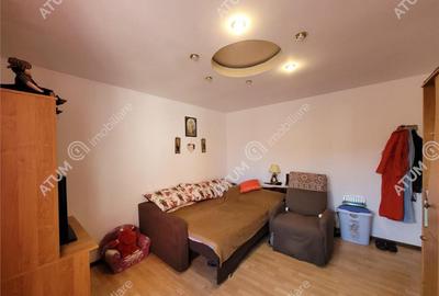 Casa individuala 3 camere pivnita 235 mp teren zona Veterani - 17