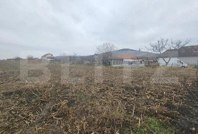 Teren extravilan 9000 mp, Ocna Mures - 3