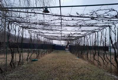 Casă cu 2 camere în Central - 5