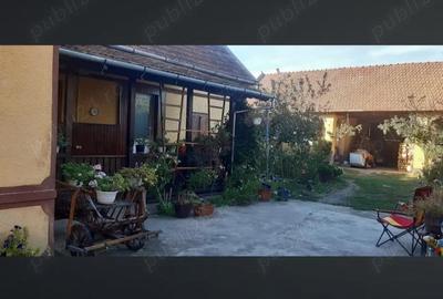 Casă cu Teren 2000 Mp în Hitiaș - 3