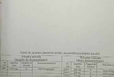 Teren agricol intravilan de 12100 mp, în Rahova - 2