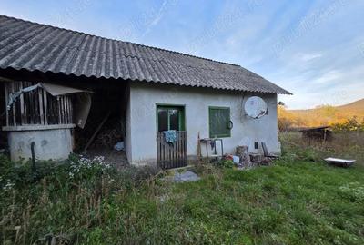 Casa de vanzare in loc Tisa, jud. Hunedoara doar 37 de min de Deva. - 6