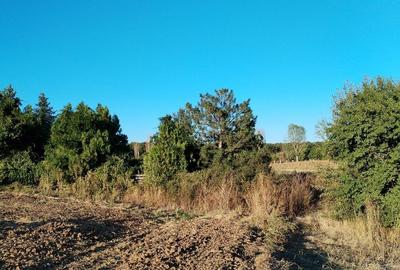Ciolpani, spre Izvorani - COR, vanzare teren 5000mp. - 18