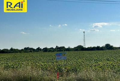 Terenuri cu deschidere 20m la Centura in suprafata  de 5950 mp si 6481 mp - 4