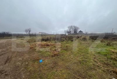 Teren intravilan, 450 mp cu front stradal de 30 ml, Malu Mar - 1