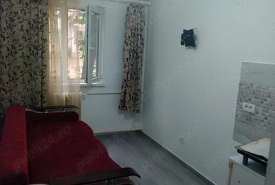 Camera camin Valea Rosie