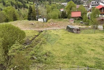 Teren de 2770 mp, în Est - 4