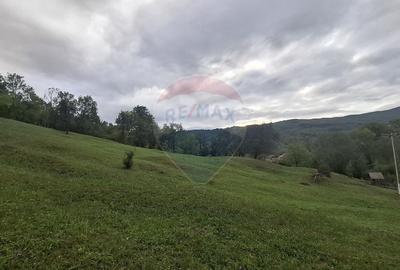 Teren de 4000 mp, în Moroeni - 8