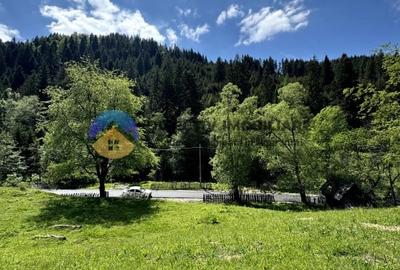 Teren 5777 mp in comuna Ceahlau - 8