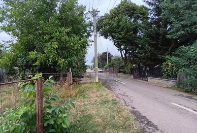 TEREN PAULESTI//17211 MP// INTRAVILAN - 4