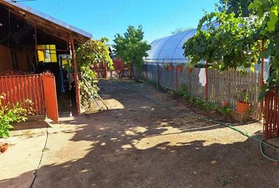 Casă cu 5 camere cu Teren 2272 Mp în Costești - 3