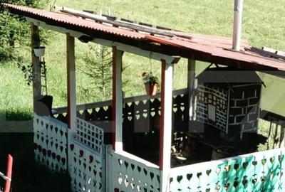 Casă cu 2 camere cu Teren 32000 Mp în Central - 10