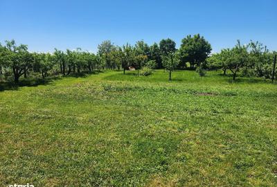 Casă cu 3 camere în Dumbrava - 3
