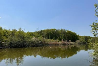 Teren 15840 mp Deaschidere 55 ml Silistea Snagovului De V... Teren 15840 mp Deaschidere 55 ml Silistea Snagovului De V... - 4