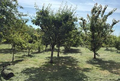 Casă cu 2 camere în Aiton - 5