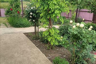 Vand casa in Barsanesti, judetul Botosani, teren 3868 mp Vand casa in Barsanesti, judetul Botosani, teren 3868 mp - 6