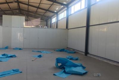 Voluntari - hala noua 500mp - 3