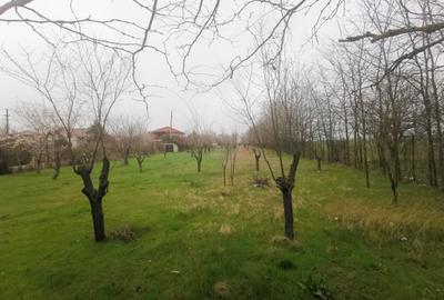 Teren Construcții intravilan de 4350 mp, în Techirghiol