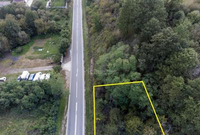 Resita, Teren Intravilan 700 Mp., 25 Euro/Mp., Calea Caranse - 16