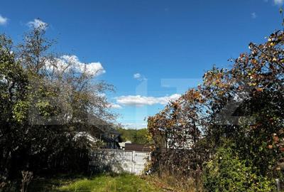 Casa Comuna Plopu , Sat Nisipoasa cu teren aproape de padure Casa Comuna Plopu , Sat Nisipoasa cu teren aproape de padure - 9