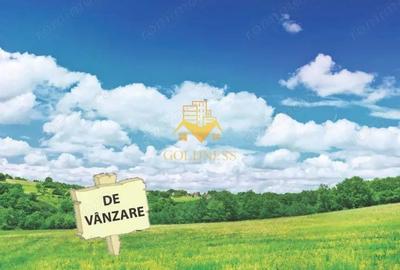 Teren de vanzare, Intravilan, 2060 mp, Carpinis, Jud. Alba, 45 euro mp - 1