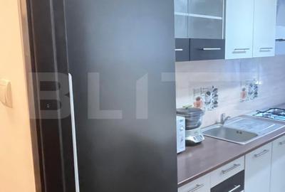 Apartament de inchiriat, cu 2 camere, 54 mp, zona Garii - 4