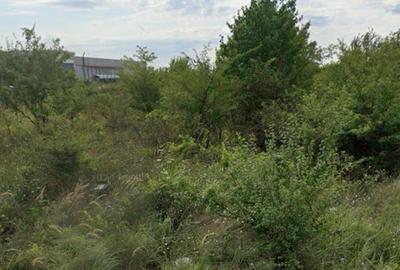 Afumati   Vanzare Teren extravilan  10 000mp - 3