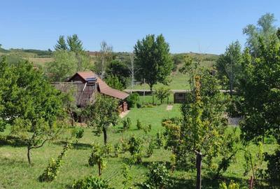 Casă cu 2 camere în Uileacu de Munte - 2
