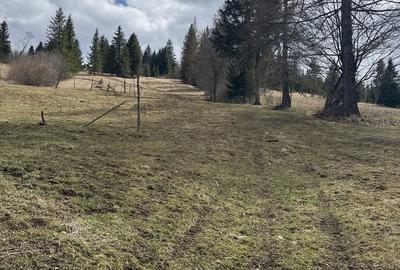 Teren de 11500 mp, în Exterior Vest - 3