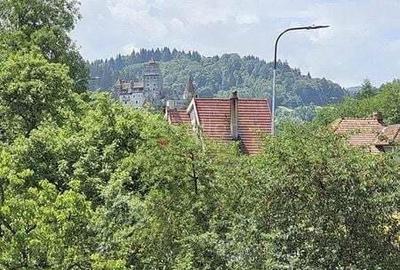 Apartament Deosebit - Bran - 10