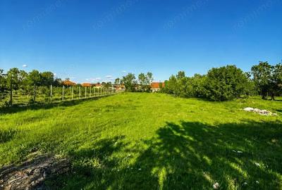 Casă cu 3 camere cu Teren 3300 Mp în Husasău de Tinca