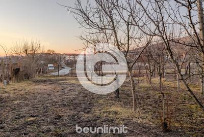 Casa individuala Sibiu - Un singur nivel - Teren 1310Mp - 2 fronturi - 18