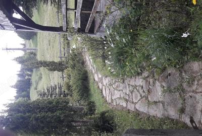 Casă cu 3 camere în Piatra - 1