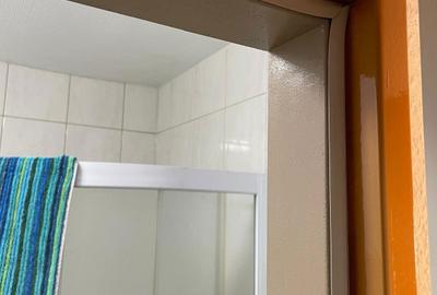 Garsonieră nedecomandată în Aurel Vlaicu - 6