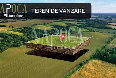 Teren Construcții intravilan de 526 mp, în Grigorescu - 1