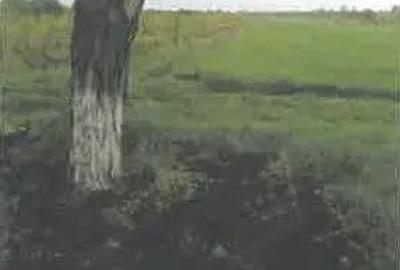 Teren extravilan Pietroasele, ID: R2586802 - 1