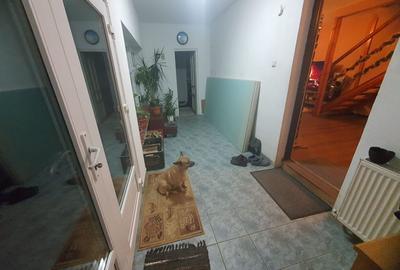 Casă cu 4 camere cu Teren 890 Mp în Miniș - 1