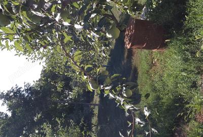 Casă cu 4 camere în Central - 3