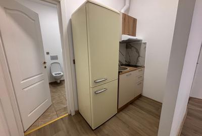 Inchiriere apt.2 camere Cismigiu - 7