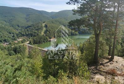 Teren Construcții intravilan de 2000 mp, în Văliug - 2