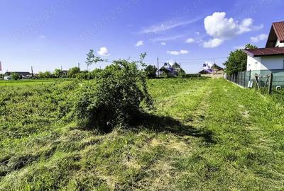 Teren intravilan Vranesti , Calinesti Arges - 4