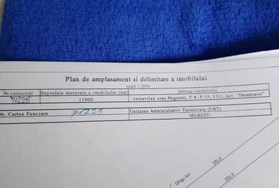 Teren de 11900 mp, în Exterior Vest - 2