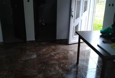 Casă cu 4 camere în Secaș - 4