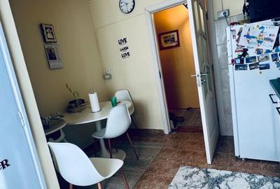 Apartament cu 3 camere decomandat, mobilat în Iosefin - 18