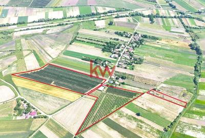 Livada+Teren 6 ha (60.000 MP) - Vulturesti, Suceava - 2