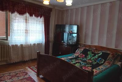 Casă cu 2 camere în Sânmihaiu Almașului - 5